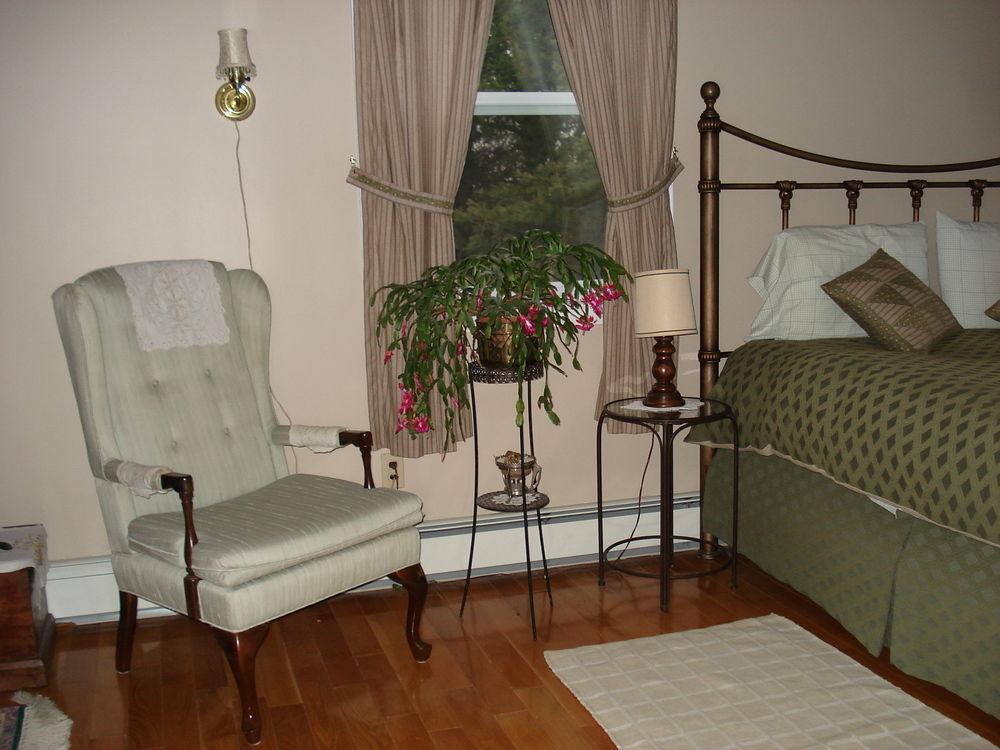 טרורו Tulips And Thistle B&B מראה חיצוני תמונה