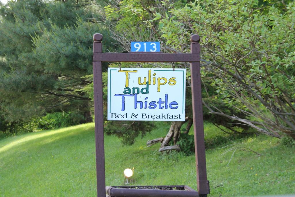 טרורו Tulips And Thistle B&B מראה חיצוני תמונה